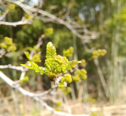 b0368362_07455683.jpg