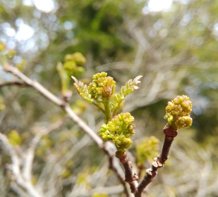 b0368362_07461549.jpg