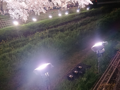 野川に桜のライトアップを見に行ってきた!_c0100865_11225041.jpg