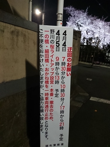 野川に桜のライトアップを見に行ってきた!_c0100865_11234167.jpg
