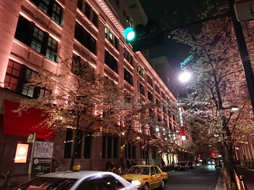 日本橋でピンクの桜のライトアップ♪_c0100865_11501510.jpg