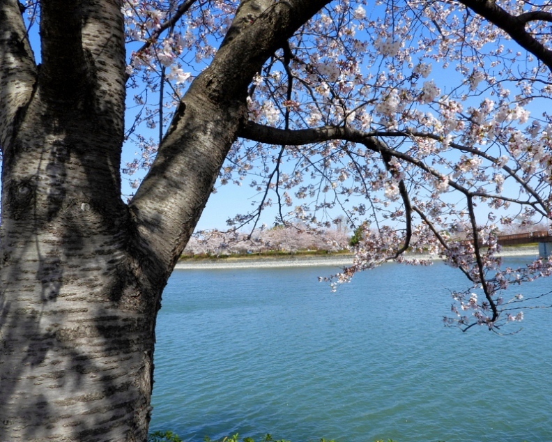 c0305565_17561330.jpg