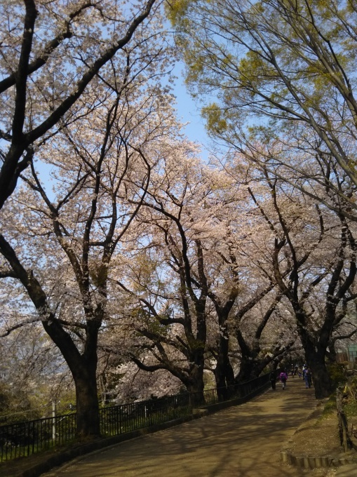 f0095265_12130761.jpg
