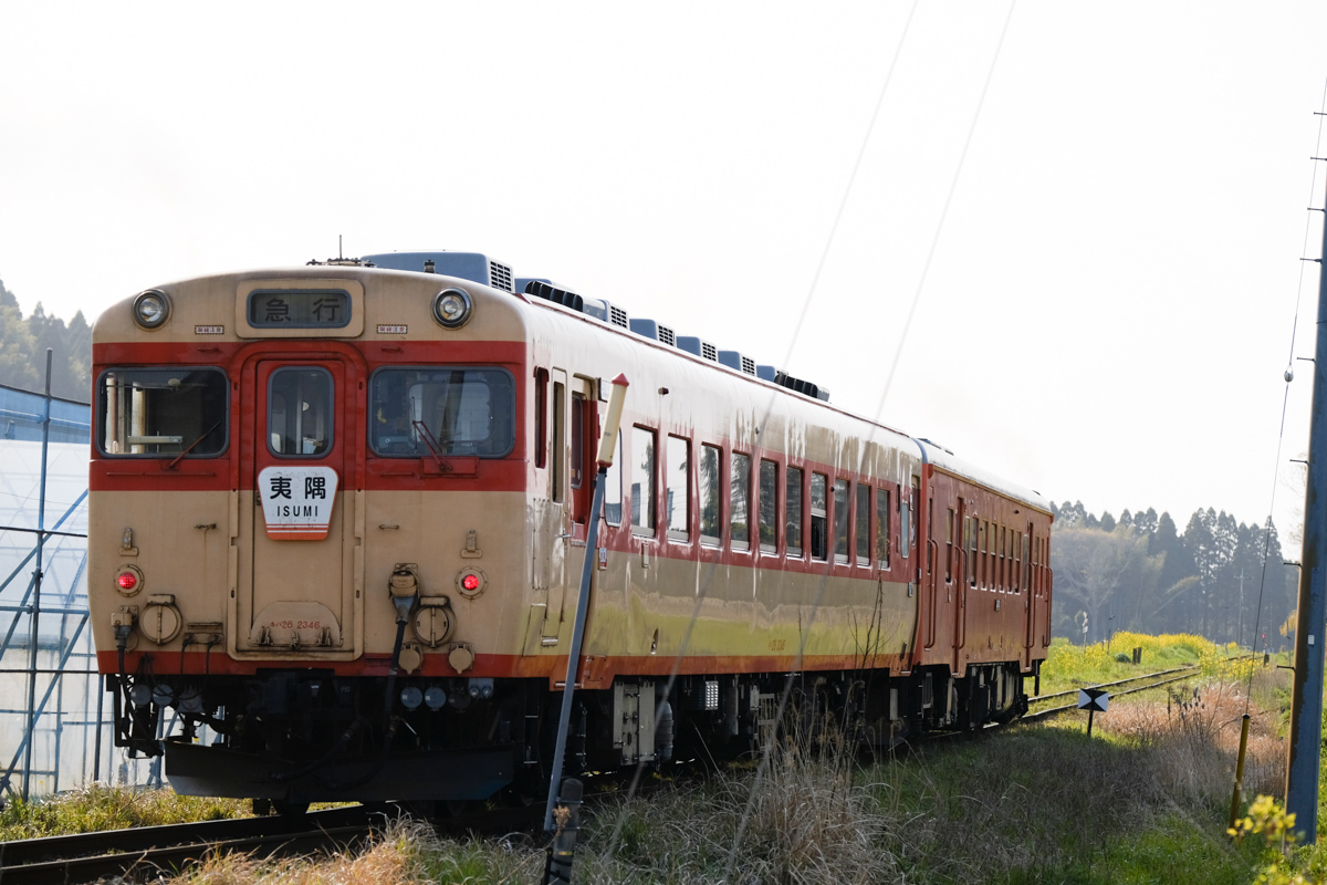 いすみ鉄道、春爛漫～Ⅳ_c0084666_11193896.jpg