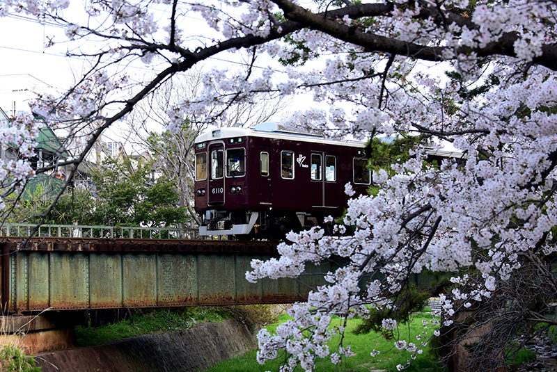 夙川公園と阪急電車 ちょっとそこまで
