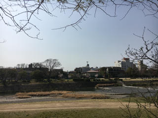 花見日和 賀茂川_f0363168_05305306.png