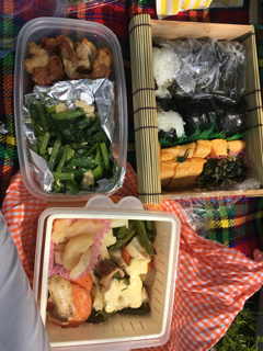 花見日和 賀茂川_f0363168_05324752.png
