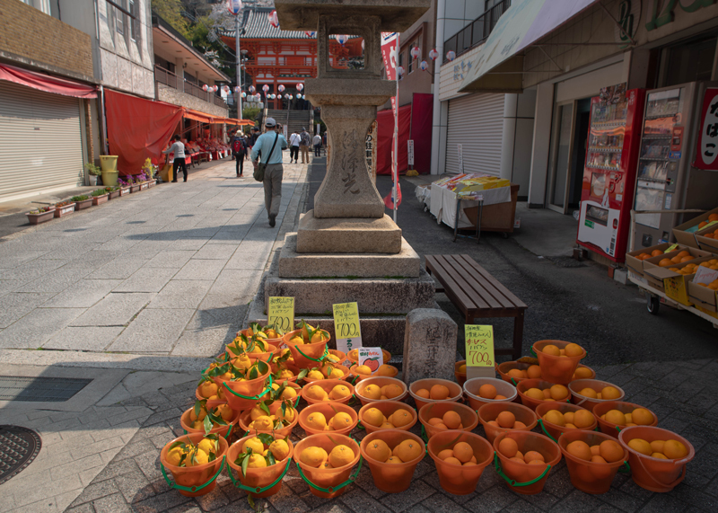 b0259669_22040867.jpg