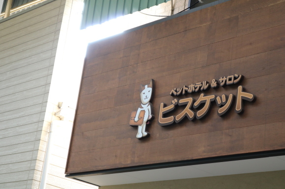 c0001670_17144685.jpg