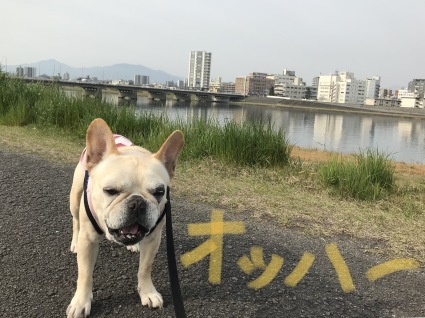 d0048577_09543555.jpeg