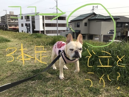 d0048577_10540150.jpeg
