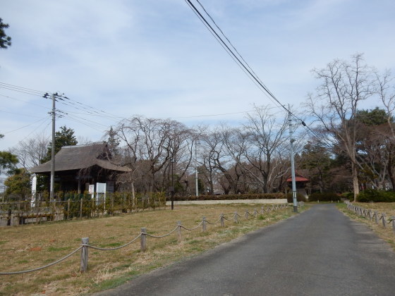 勝手に桜ツアー ご近所編_e0355177_13431783.jpg