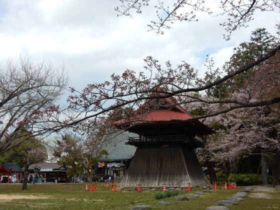 勝手に桜ツアー ご近所編_e0355177_13450014.jpg