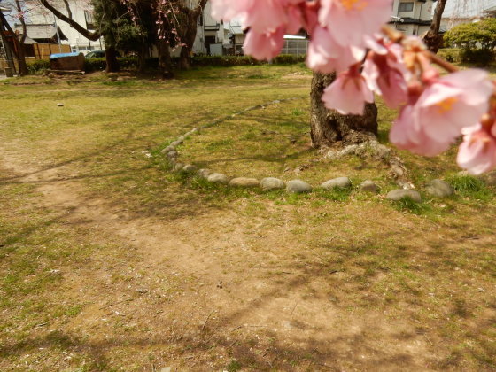 勝手に桜ツアー ご近所編_e0355177_13460572.jpg