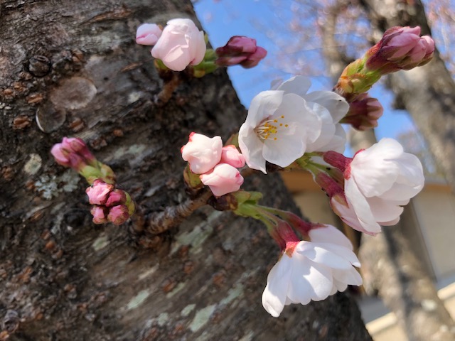 f0005081_2253652.jpg