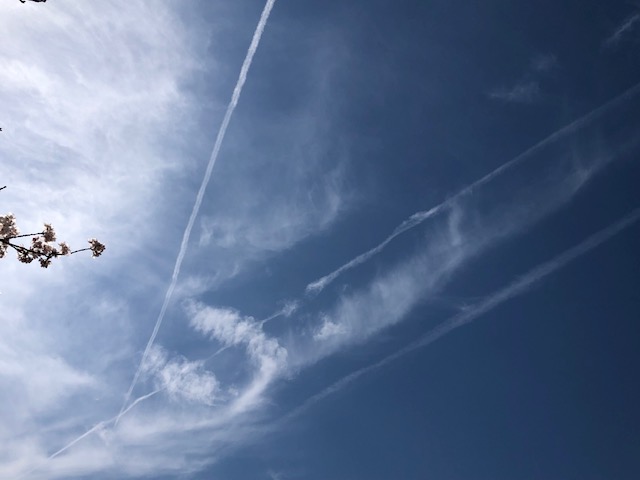 f0005081_228266.jpg