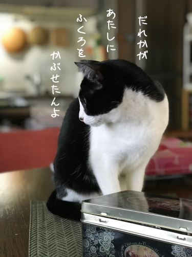 a0216583_22591629.png