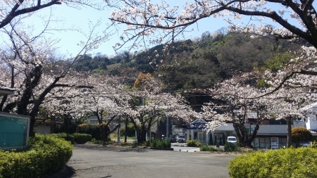 人物評伝シリーズ 徳川家康の しかめ像 井上登の70代人生論 仕事 地域 家庭 個人 4つのバランス人生 人物評伝シリーズ 徳川家康の しかめ像 井上登の70代人生論 仕事 地域 家庭 個人 4つのバランス人生