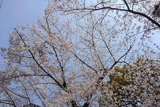 e0061785_18420310.jpg