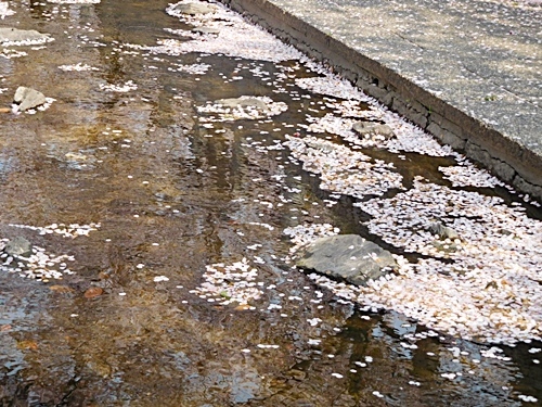 e0086885_23195516.jpg