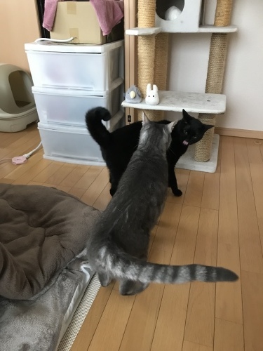 c0340786_10073174.jpeg