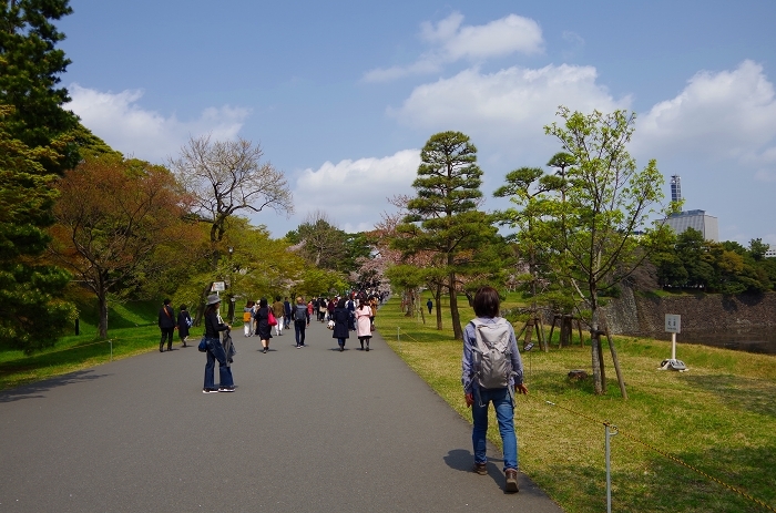 皇居一周リハビリ花見_c0324191_18213068.jpg