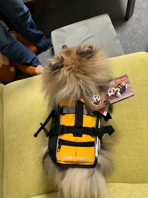 EZYDOGのライフジャケットはじめました‼_d0198793_18523633.jpg