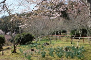 c0339296_00431030.jpg
