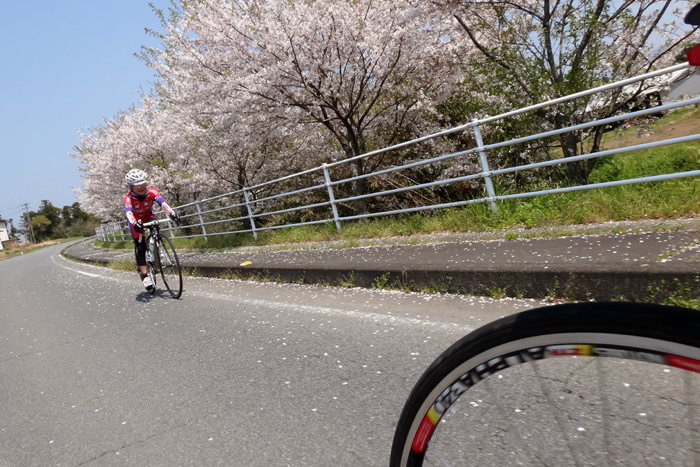 散りかけ桜を求めて、砥用あたり。_e0079696_19250906.jpg