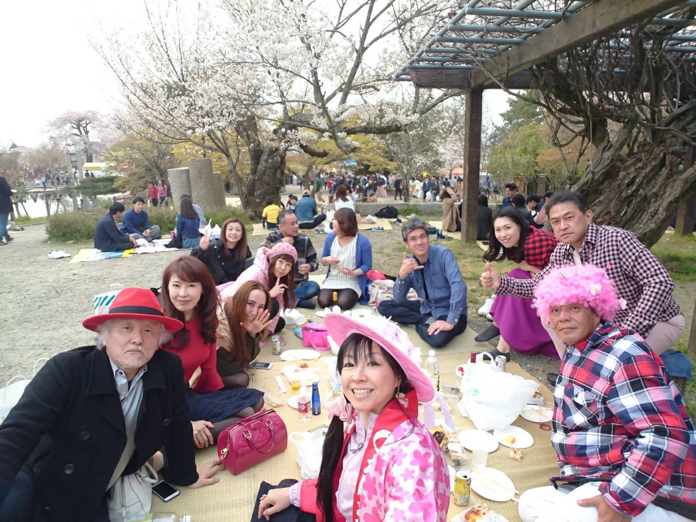 サクラ桜SAKURA。_a0050302_23132356.jpg