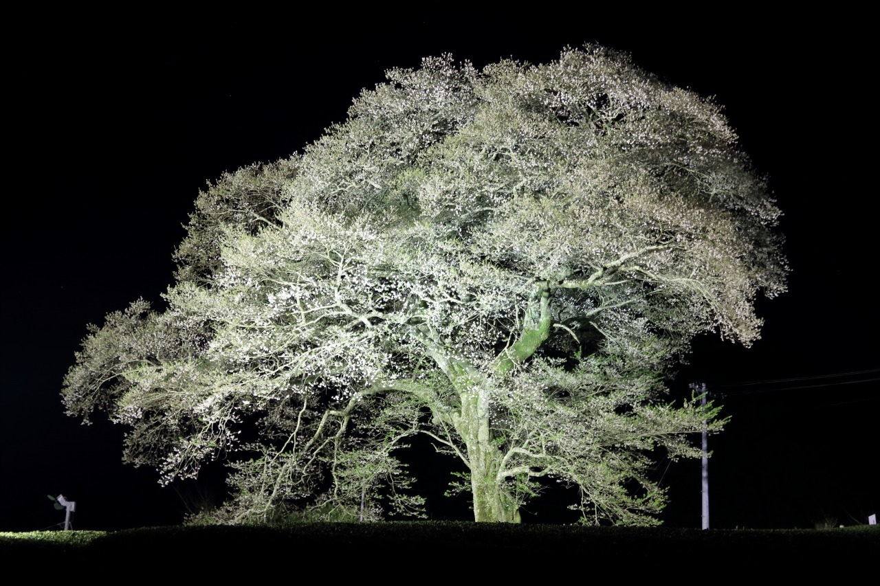 a0188405_13570499.jpg