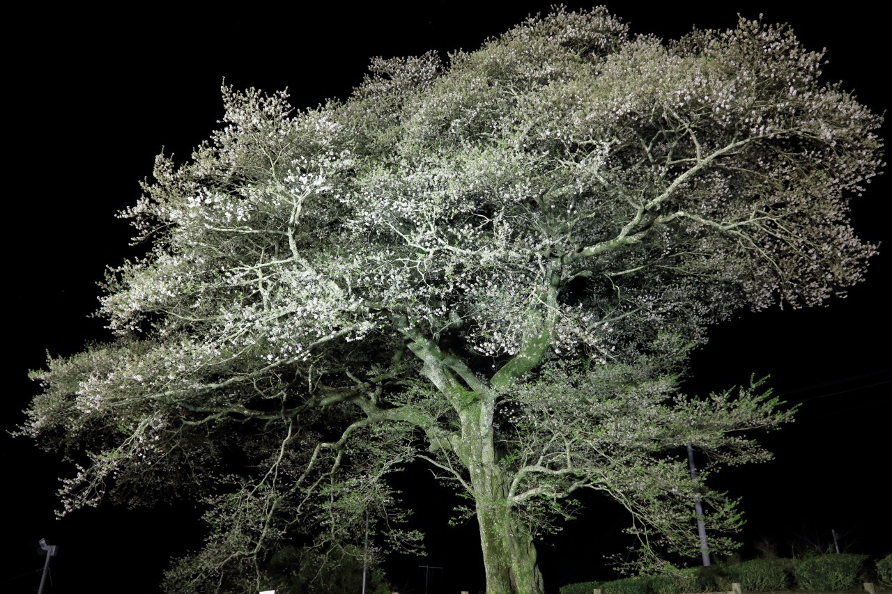 a0188405_13573568.jpg