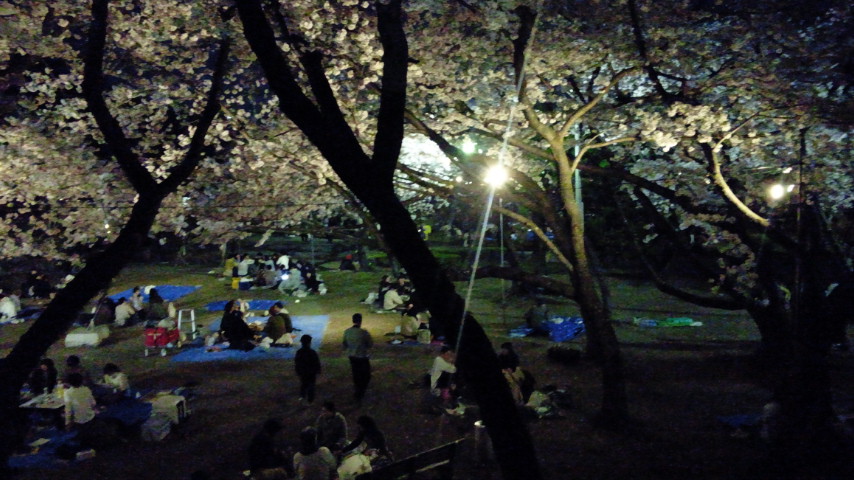 いや〜〜日本人で良かった!:徳島城公園の夜桜のお花見見参!_a0348309_9331249.jpg