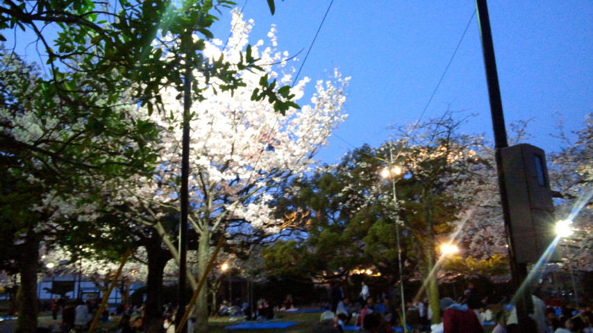 いや〜〜日本人で良かった！：徳島城公園の夜桜のお花見見参！_a0348309_933250.jpg