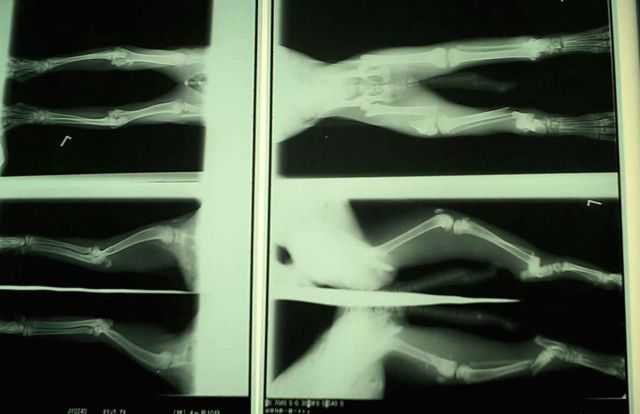 e0144012_18595887.jpg