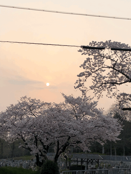 b0268815_12282060.gif