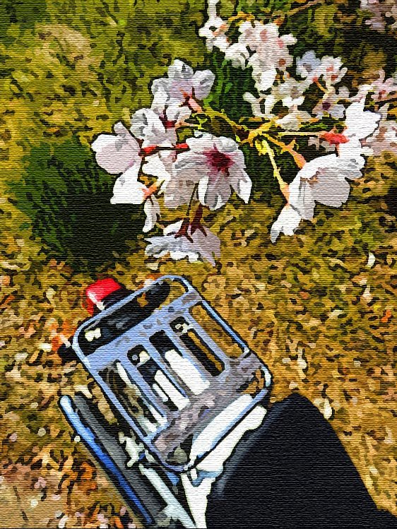 c0299015_13001742.jpg