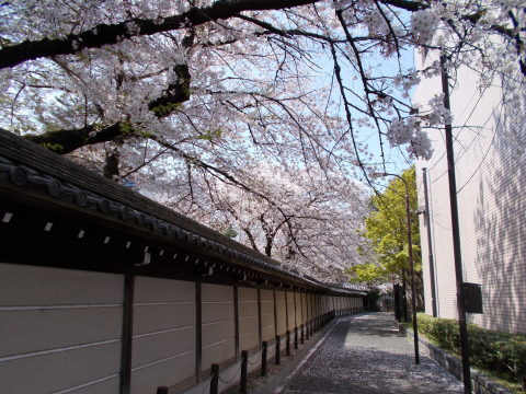 a0116217_19181569.jpg