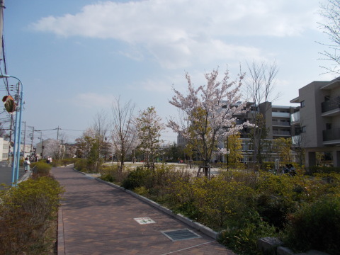 a0116217_20154071.jpg