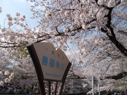a0116217_20220897.jpg