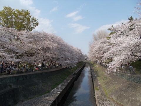 a0116217_20241982.jpg