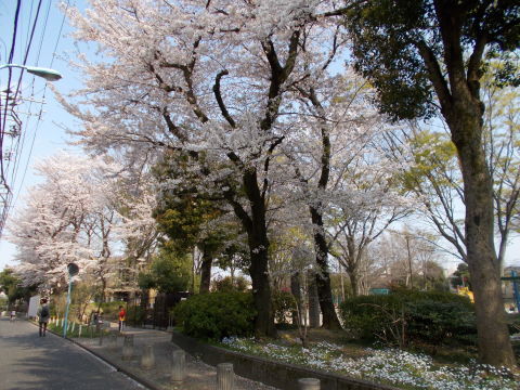 a0116217_20291138.jpg