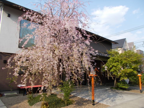 a0116217_21175694.jpg