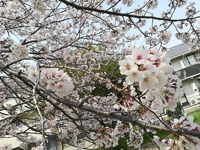 茨木市平田町O様邸が上棟しました。_d0390217_14350672.jpg