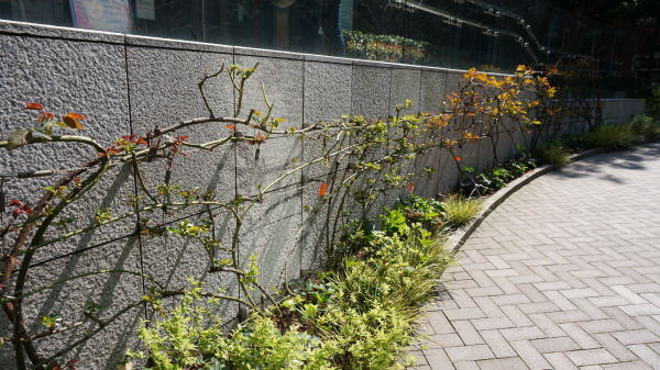 三菱一号館美術館の中庭 織りおりの日々