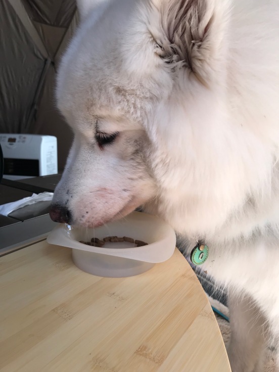 f0234023_19142562.jpeg