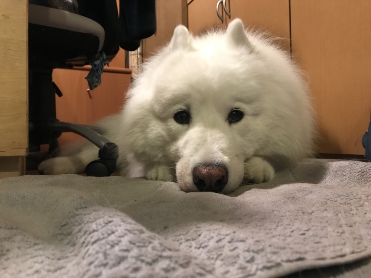 f0234023_19224944.jpeg