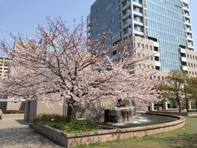 a0071926_18324726.jpg