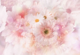 「一家に一人ヒーラーを!」_b0211926_13555592.jpg