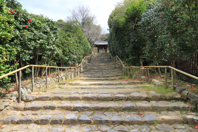 【白毫寺】奈良旅行 - 11 -_f0348831_23142781.jpg